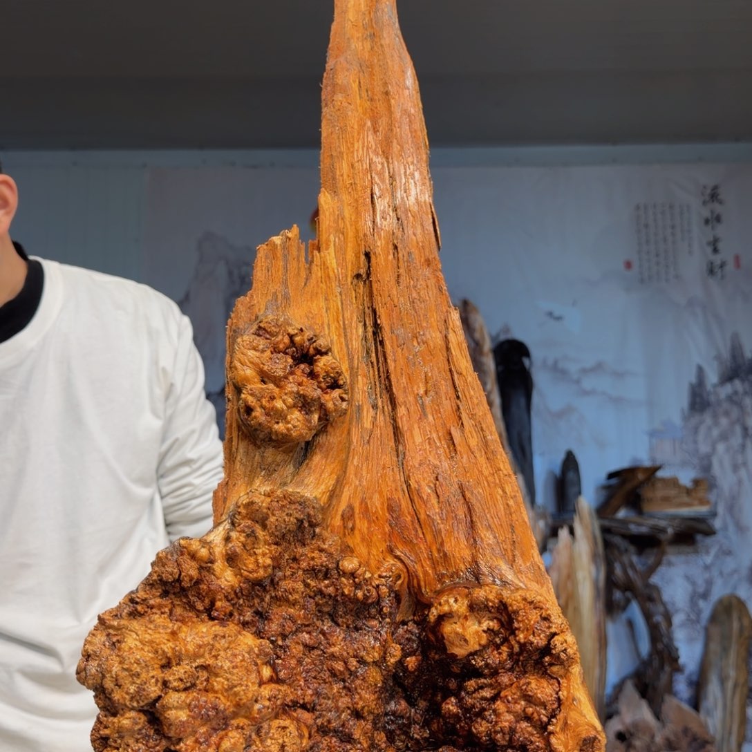 @***桐木三丰琥珀木 天然摆件48