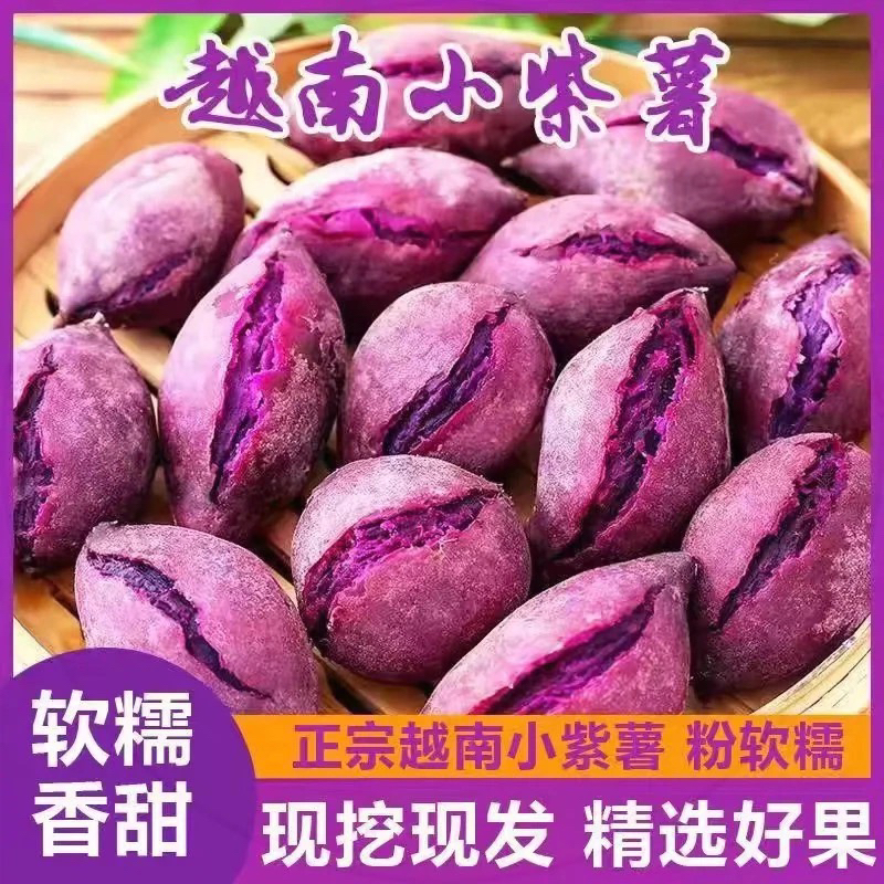 正宗越南珍珠小紫薯新鲜现挖紫皮番薯地瓜婴儿孕妇红薯高山紫薯