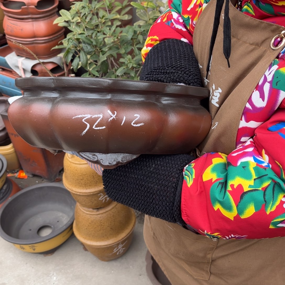 紫砂花盆盆景艺术