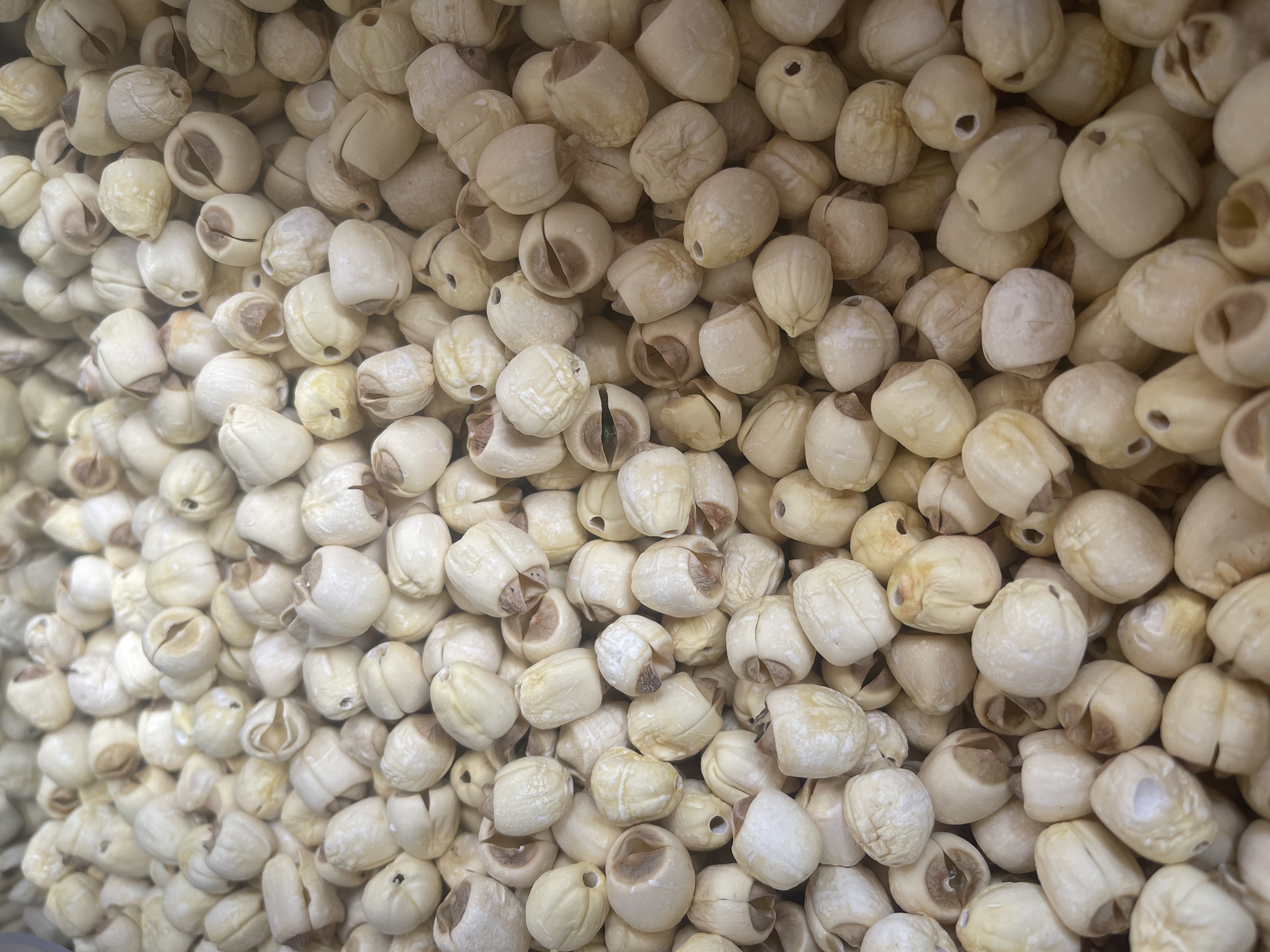 江西贡莲  原色货  去芯粉糥好吃