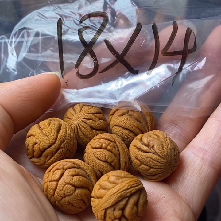 手串文玩核桃秦岭野生龙纹桃核18