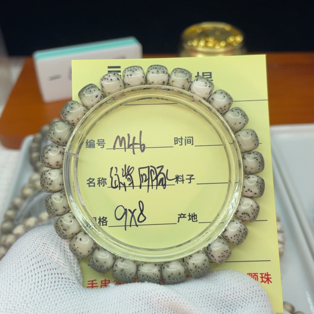 菩提籽类M绿背河豚