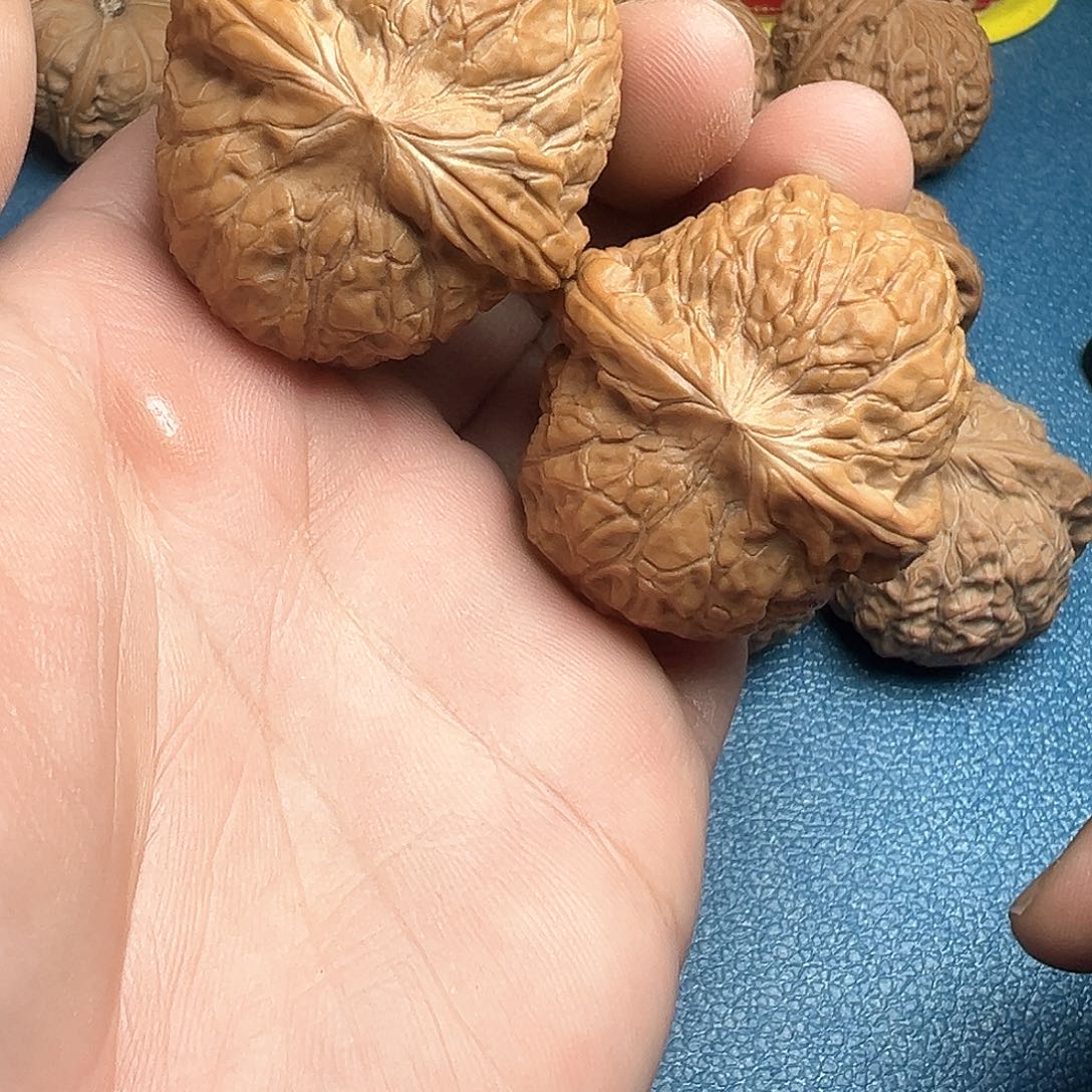 文玩核桃把件40.5南瓜饼