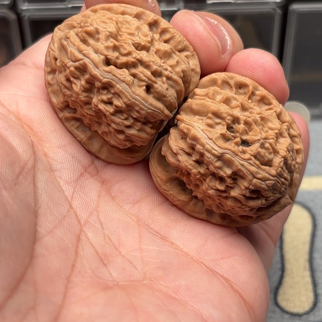 文玩核桃把件白狮子