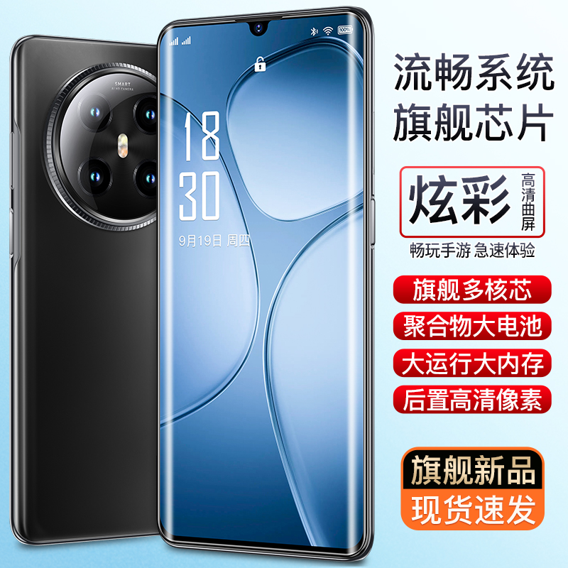 【官方正品】全新智能大屏全网通双卡双待品牌手机红鸟256黑