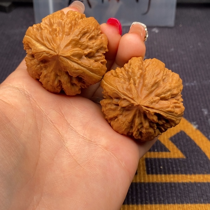 风***年把件文玩核桃霸王龙