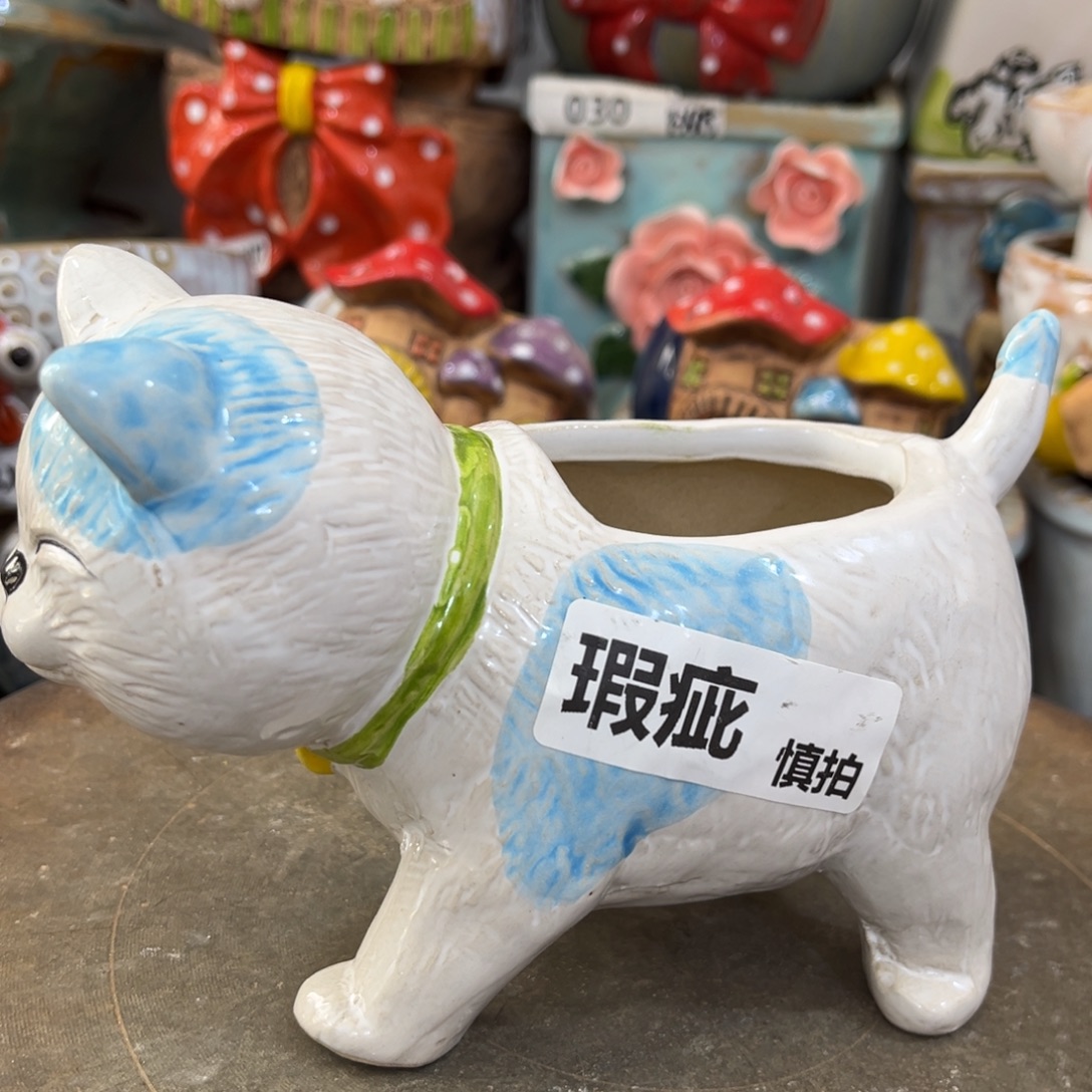 凑满15包邮发货发货