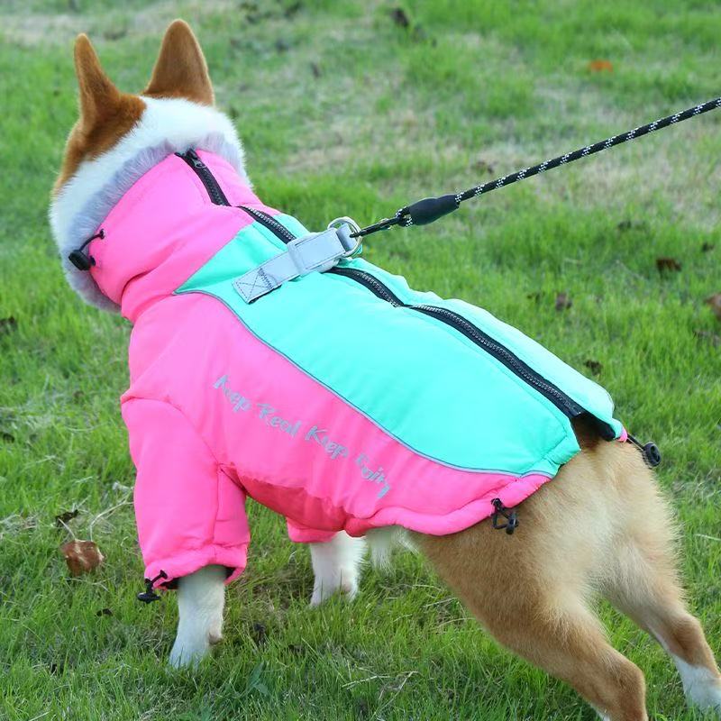 宠物秋冬四脚棉衣保暖加绒防风适用于泰迪比熊博美等犬种