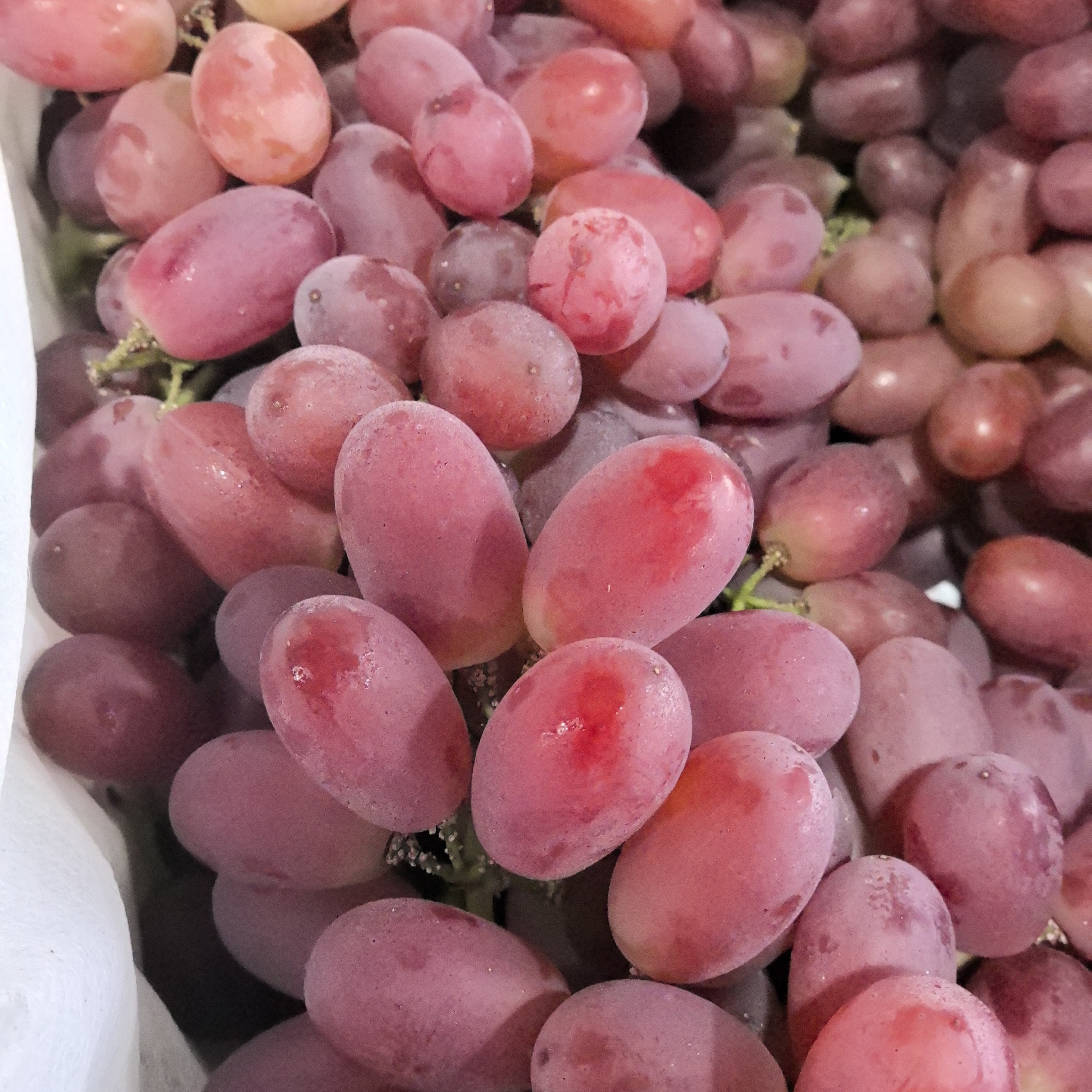 无籽提（甜度好）云南省