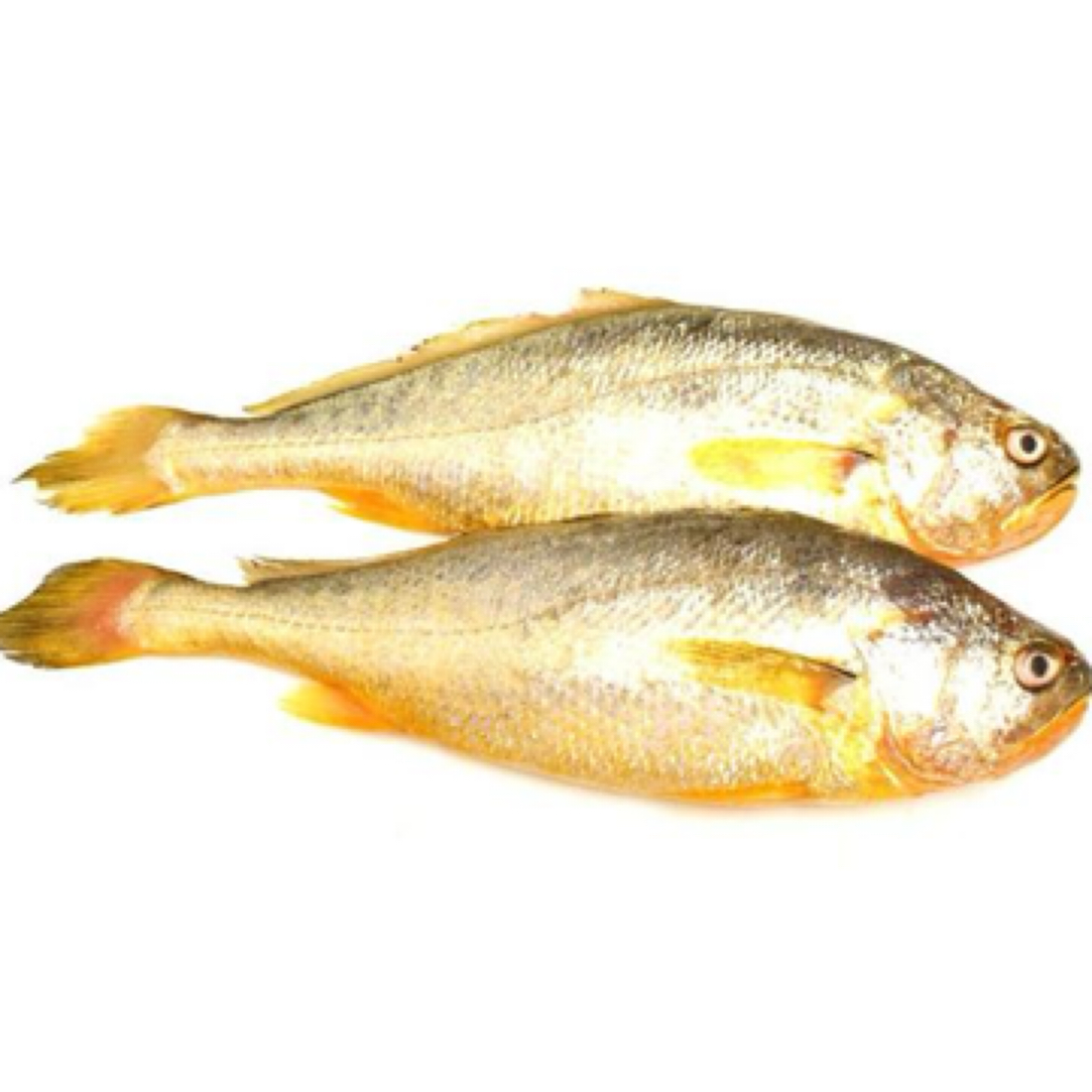 冰鲜深海黄花鱼口感佳约260g/只金光闪闪