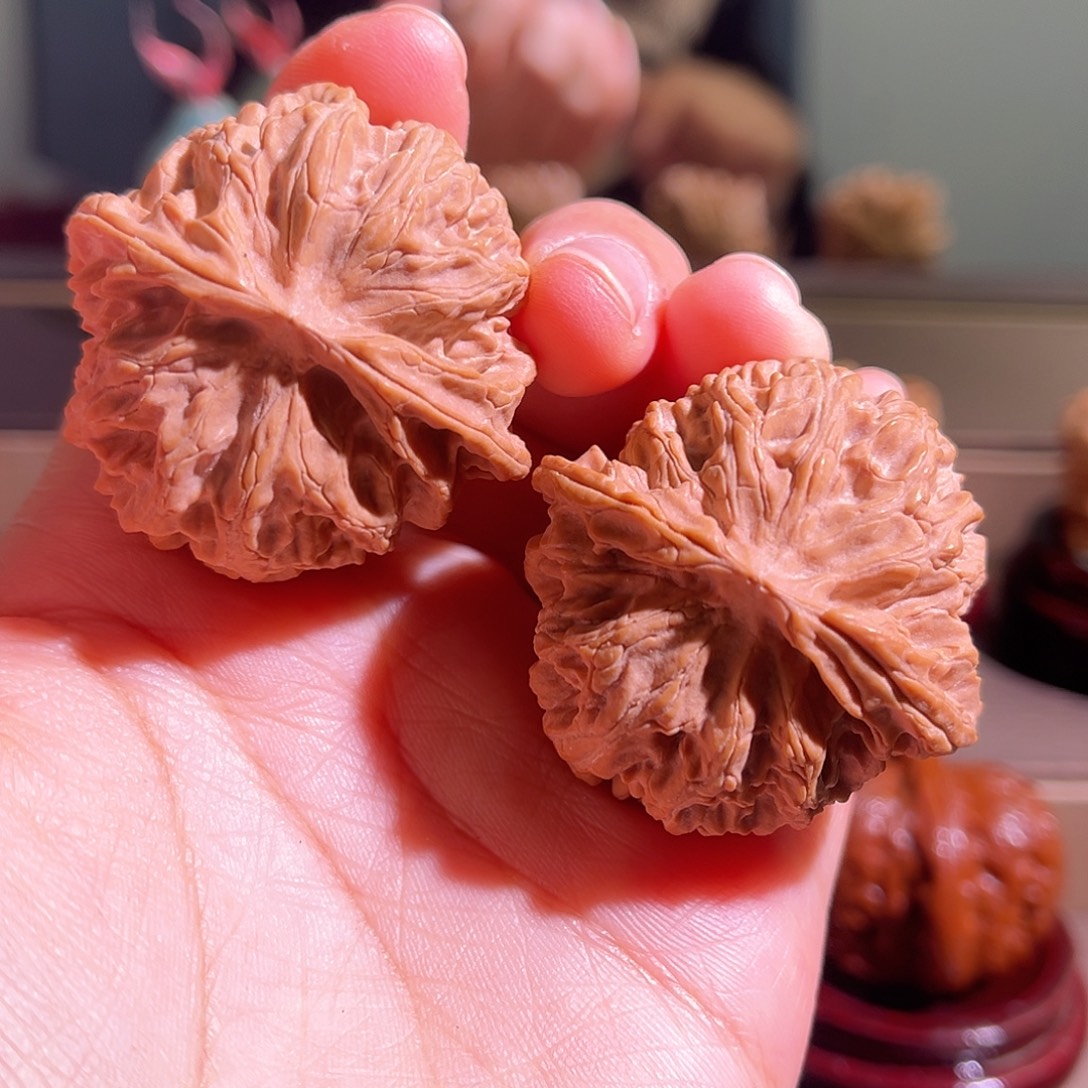 核桃苹果园全品42