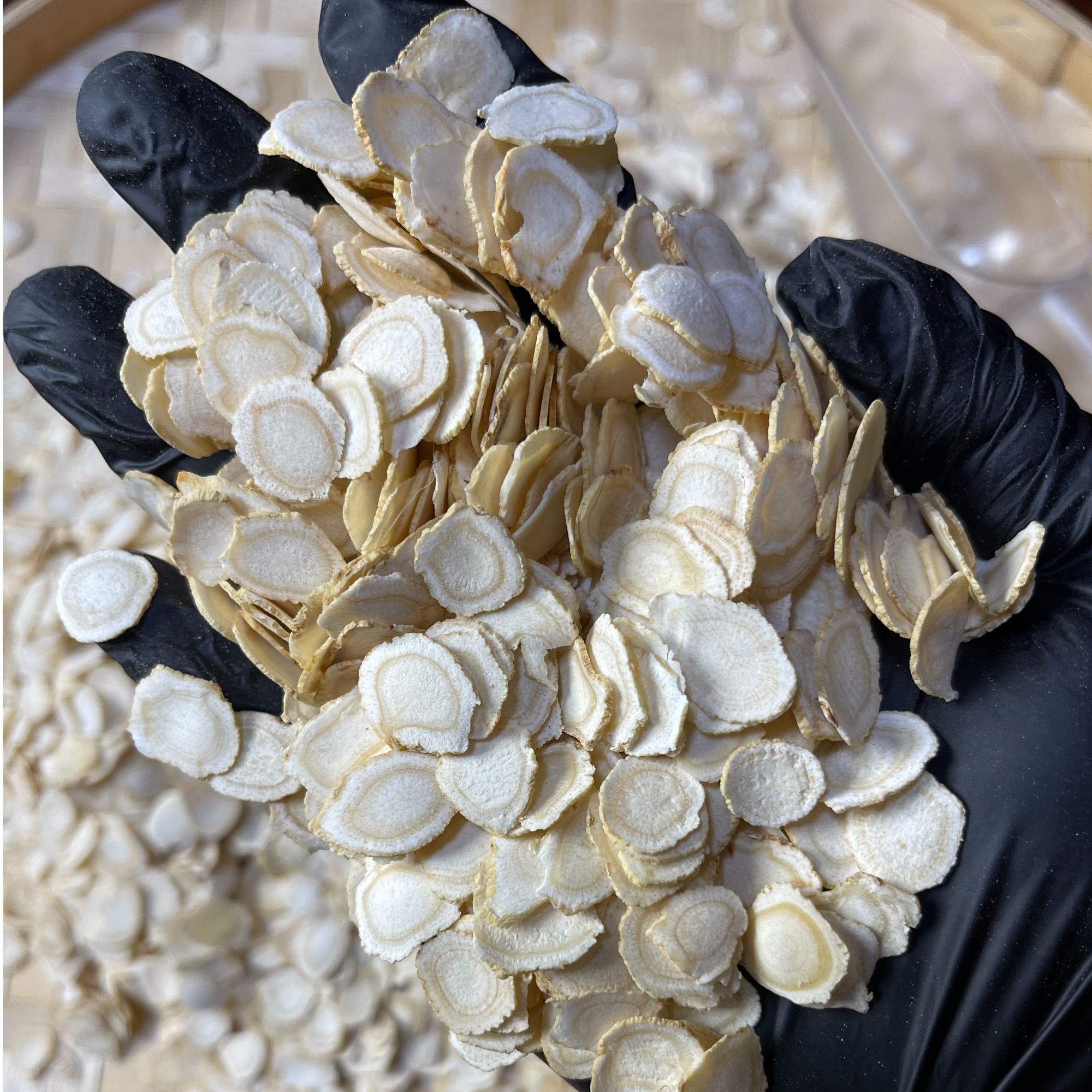 长白山西洋参1.2片滋补养生