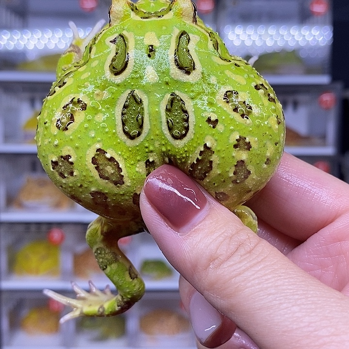 特价秒杀现货供应