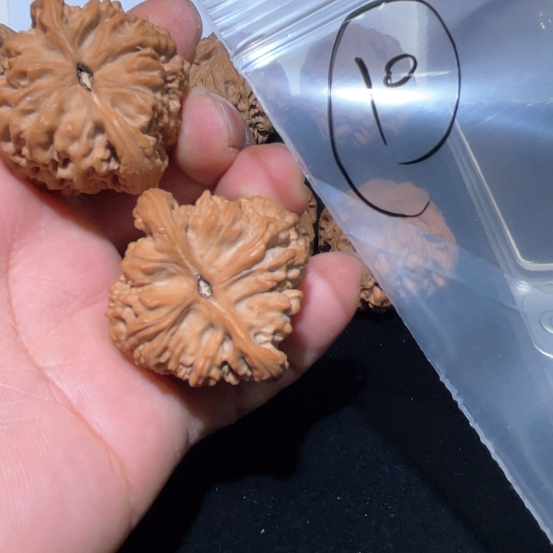 文玩核桃把件呦*南疆