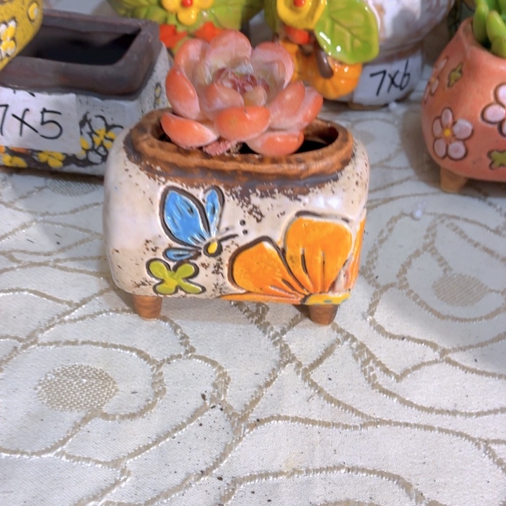 多肉花盆满15包邮，爱退款拉黑