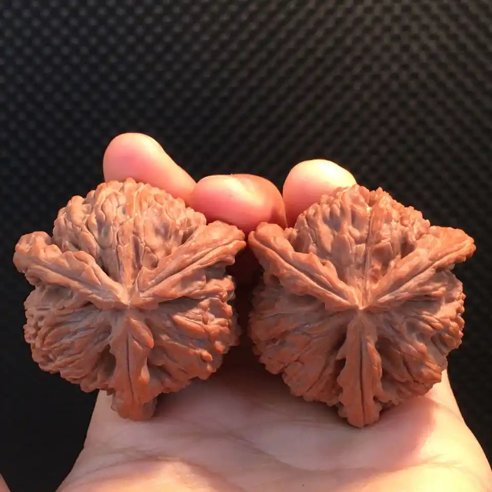 文玩核桃四座楼盘山白狮子