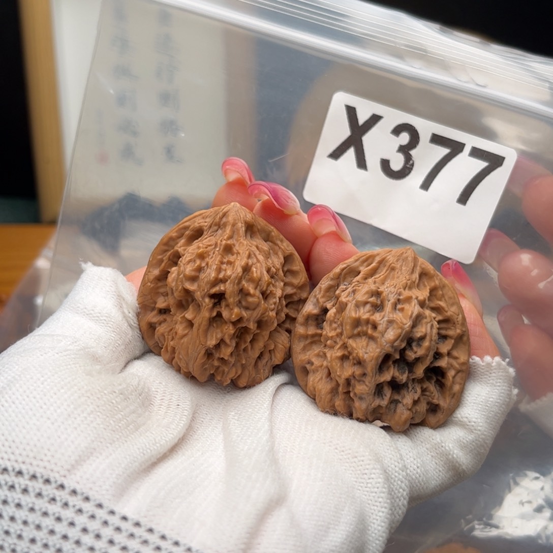 文玩核桃把件38左右金蟾王x 377