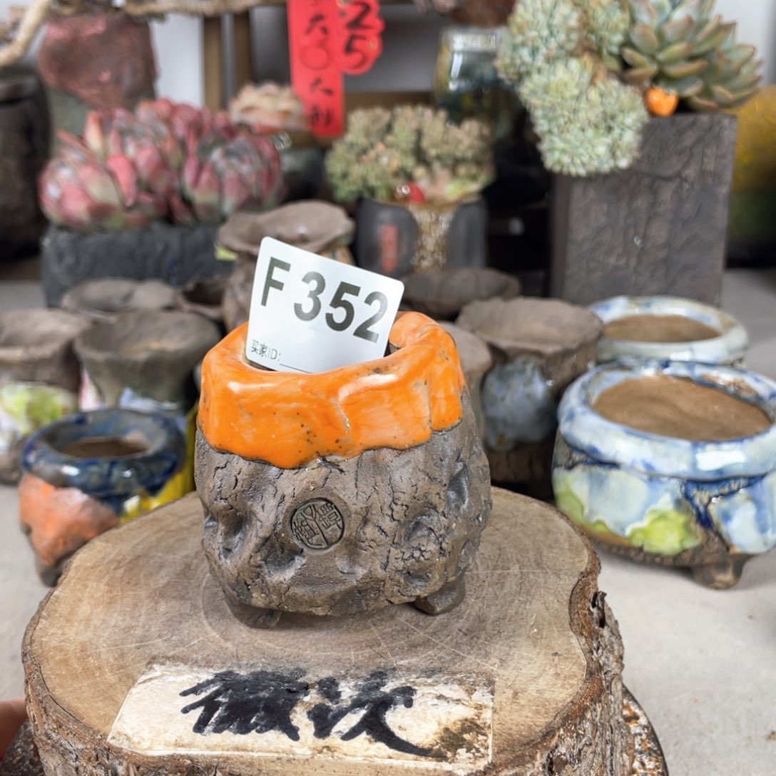 紫砂花盆开播福利 陶瓷花盆