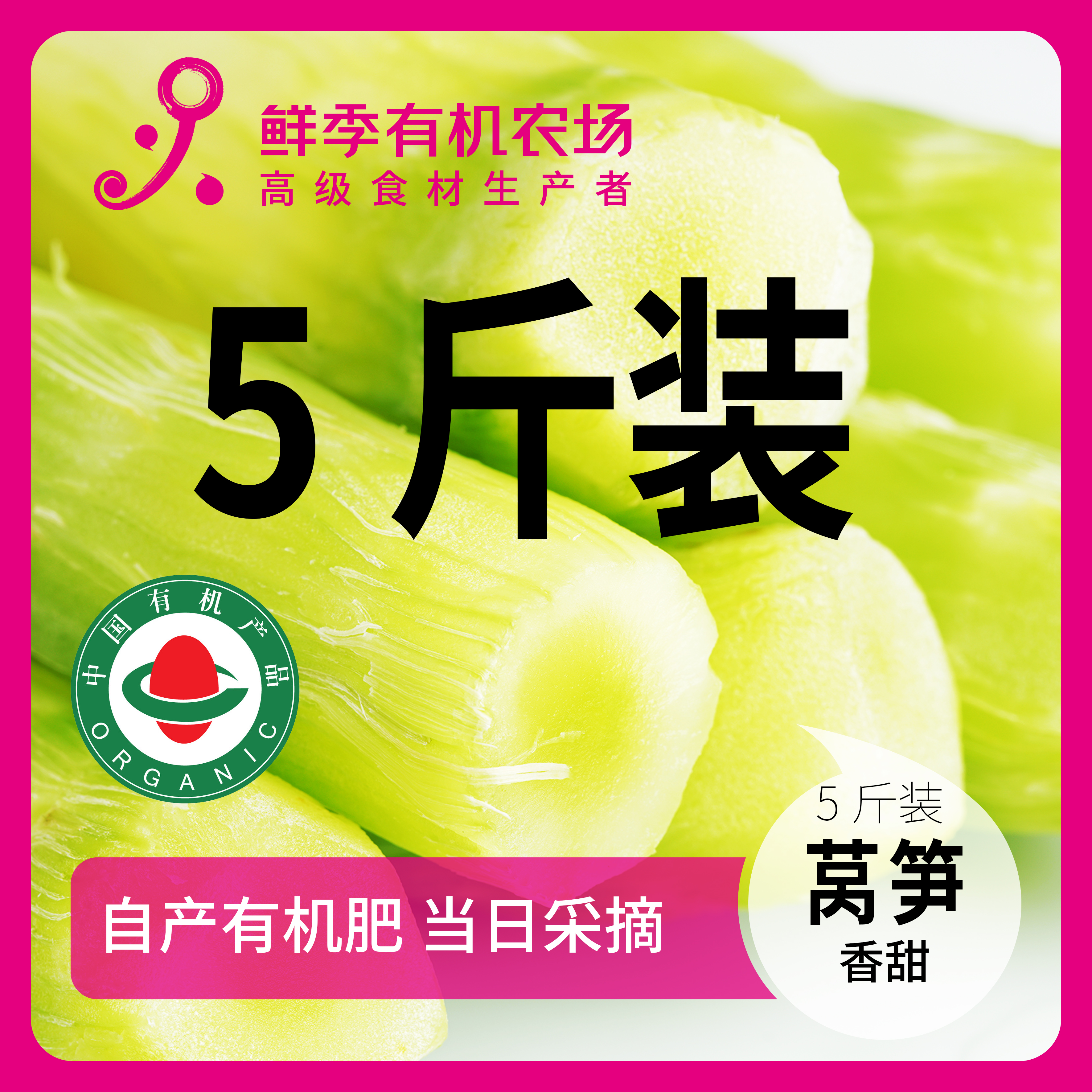鲜季全自产 个头小有裂口 有机莴笋5斤装陆运 现采摘/无保鲜剂