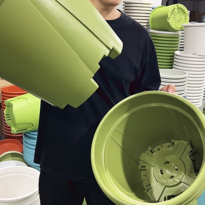 微瑕青山口40高34果绿色3只无托