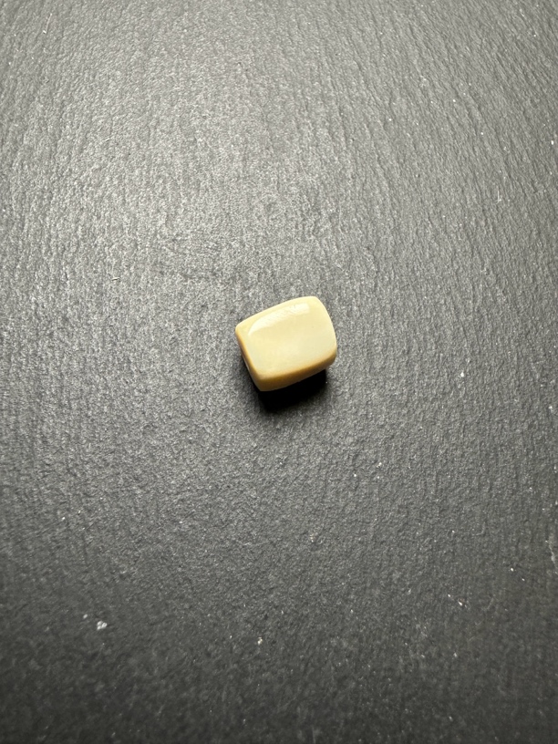 小元素搭配猛犸驼骨