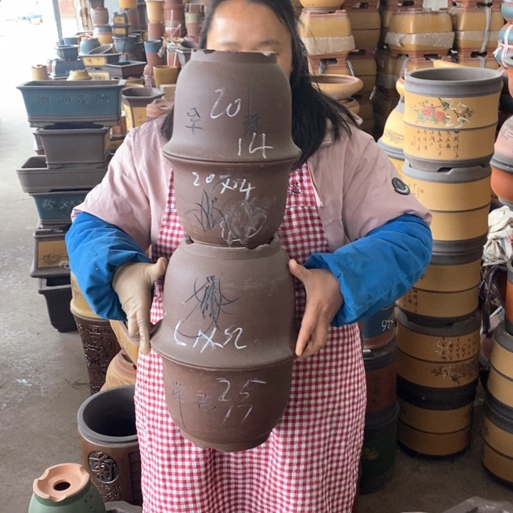 紫砂花盆盆栽花卉苗木种植