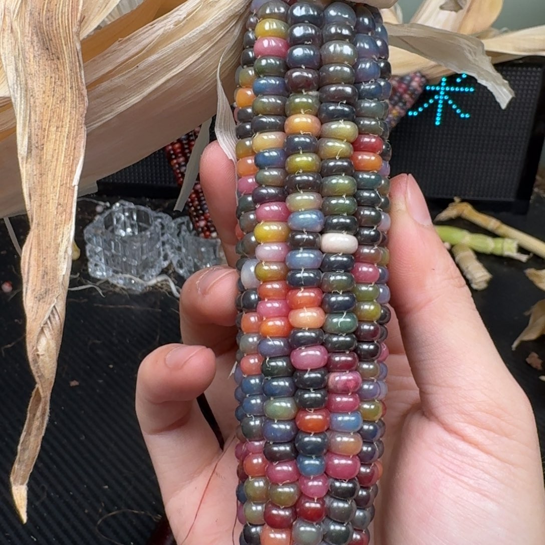 柏香籽/百香籽吊坠窗*