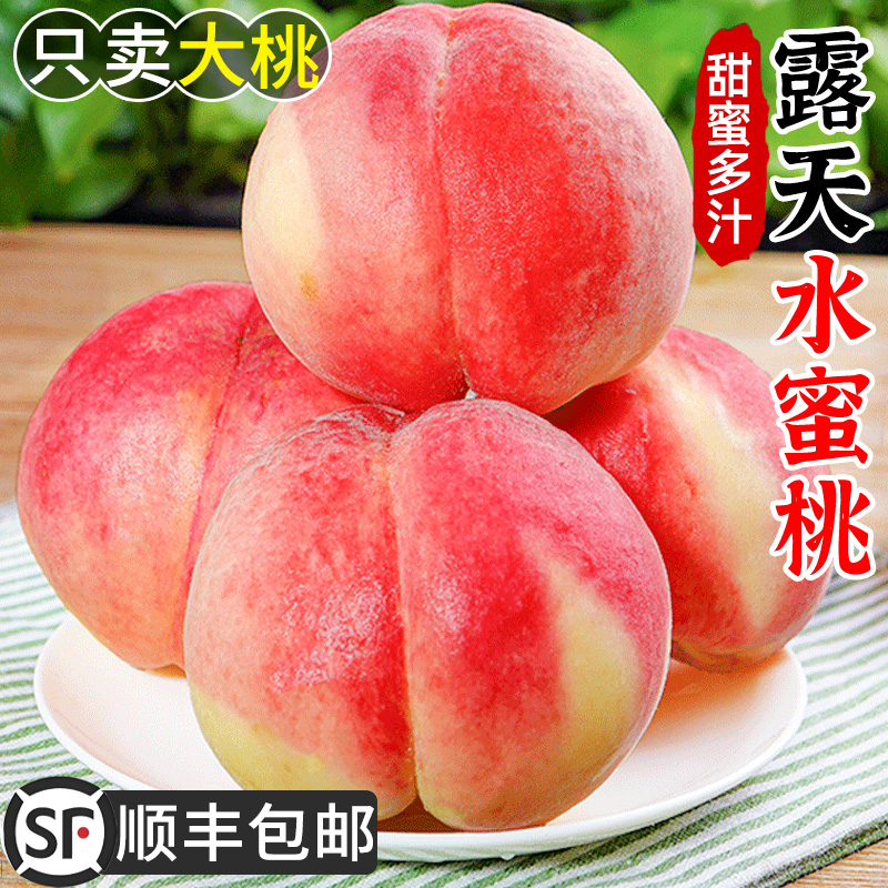 【顺丰包邮】A正宗现摘水蜜桃软桃硬桃皆可当季新鲜水果