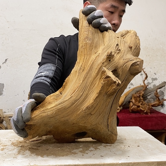 积***园柏木我们都是好孩子