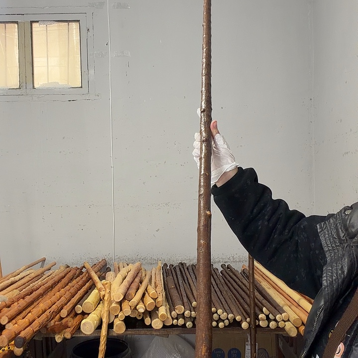 一***生秦岭石山兔儿条鞭杆