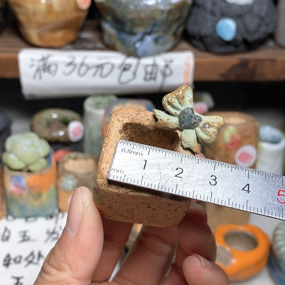 红陶拍5送一个小