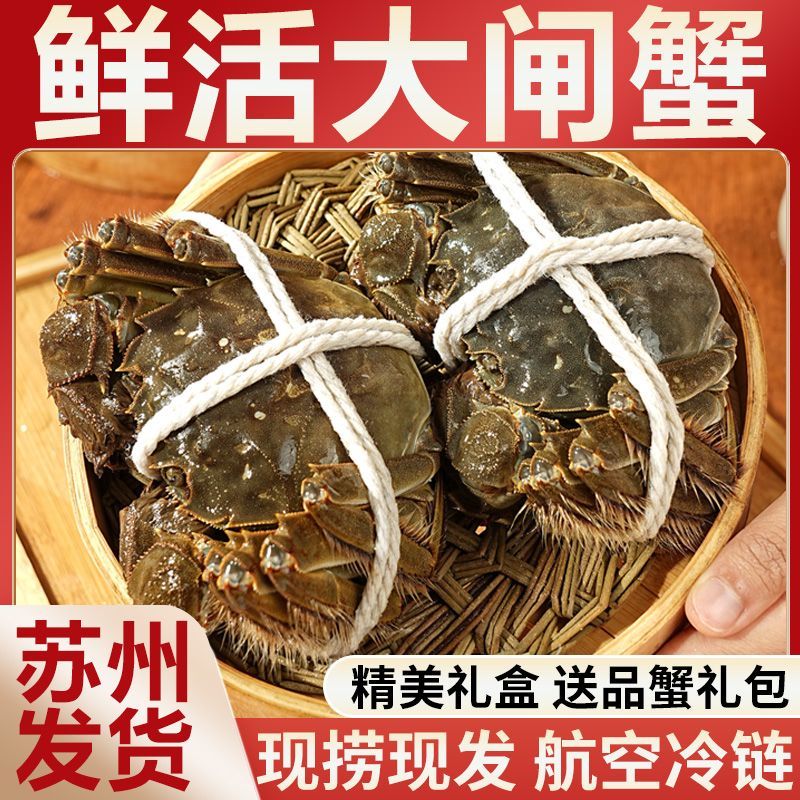 [活蟹]江苏大闸蟹公蟹3两以上7-10只3斤