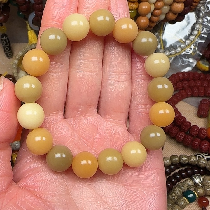 菩提根/象牙果手串菩提根