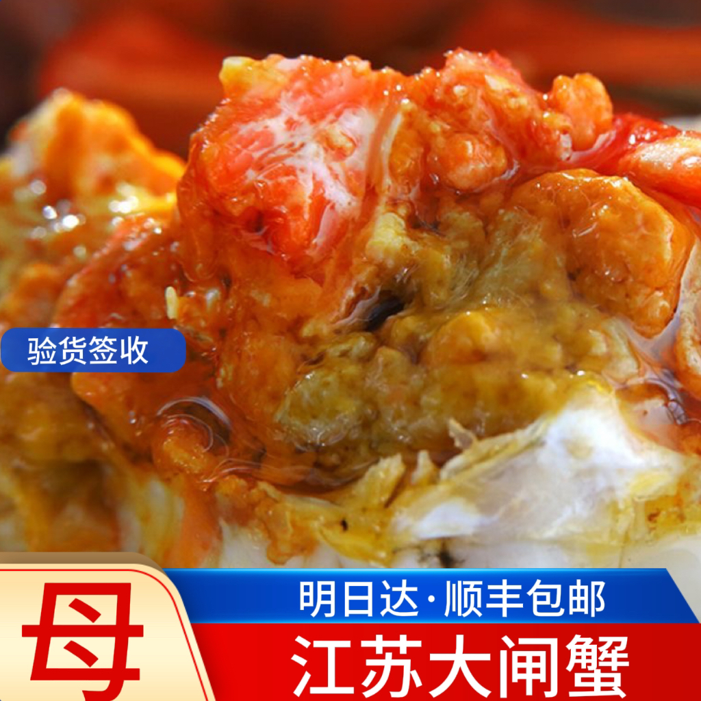 【活蟹】母江苏大闸蟹母蟹2.7-3两7-12只现称顺丰