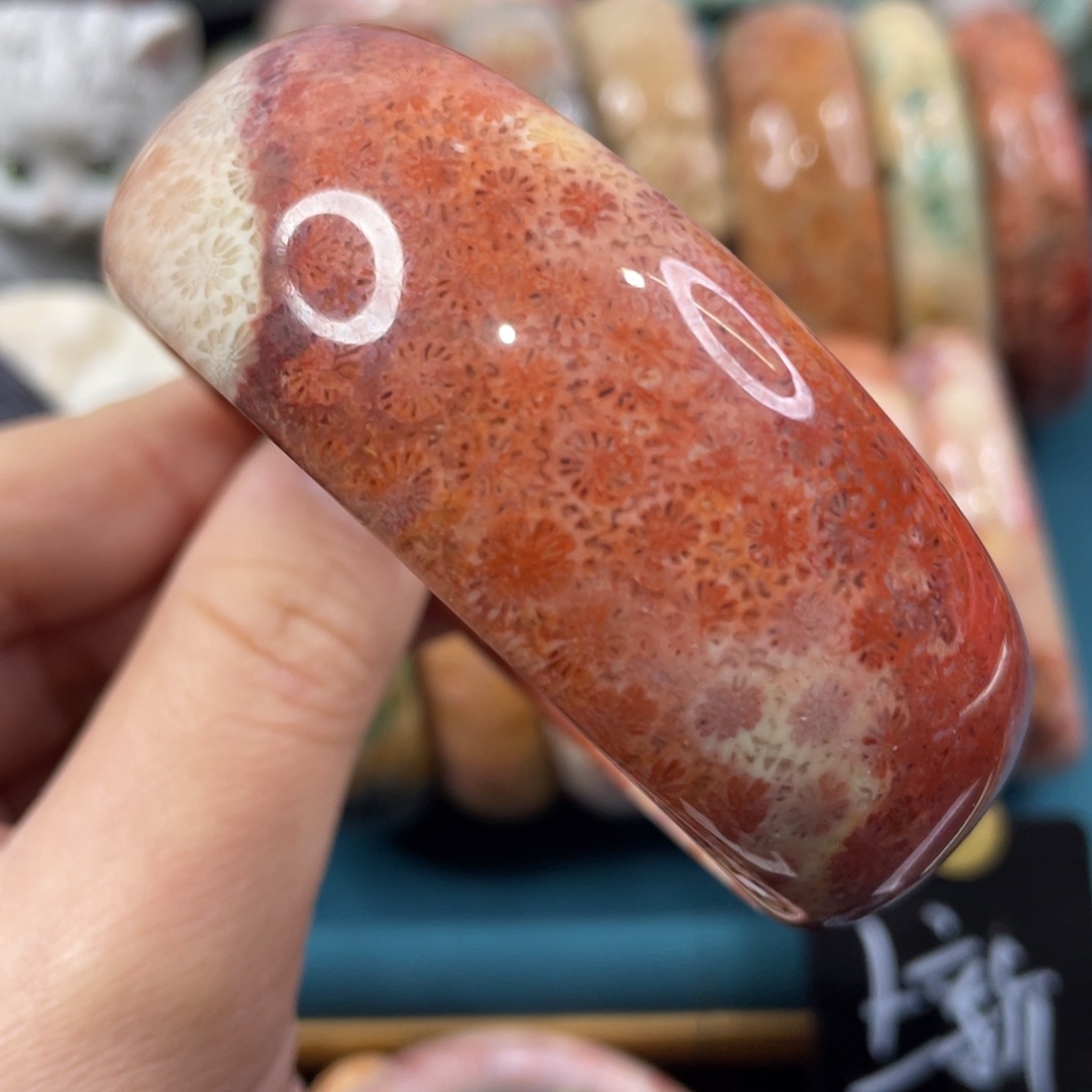 未镶嵌手镯硅化玉