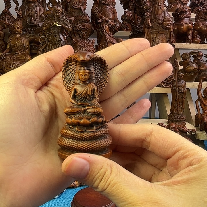 黄杨木小叶黄杨木