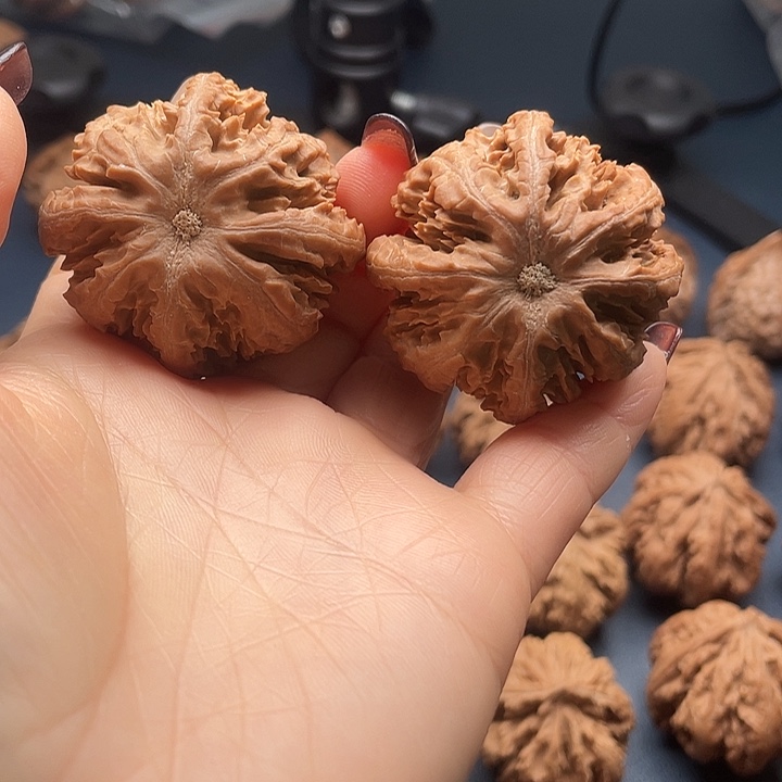 I****把件龙脊菩提秦岭核桃