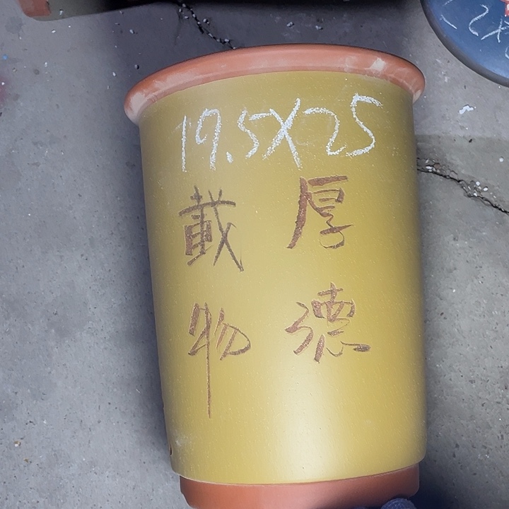 红陶紫砂中紫砂紫砂