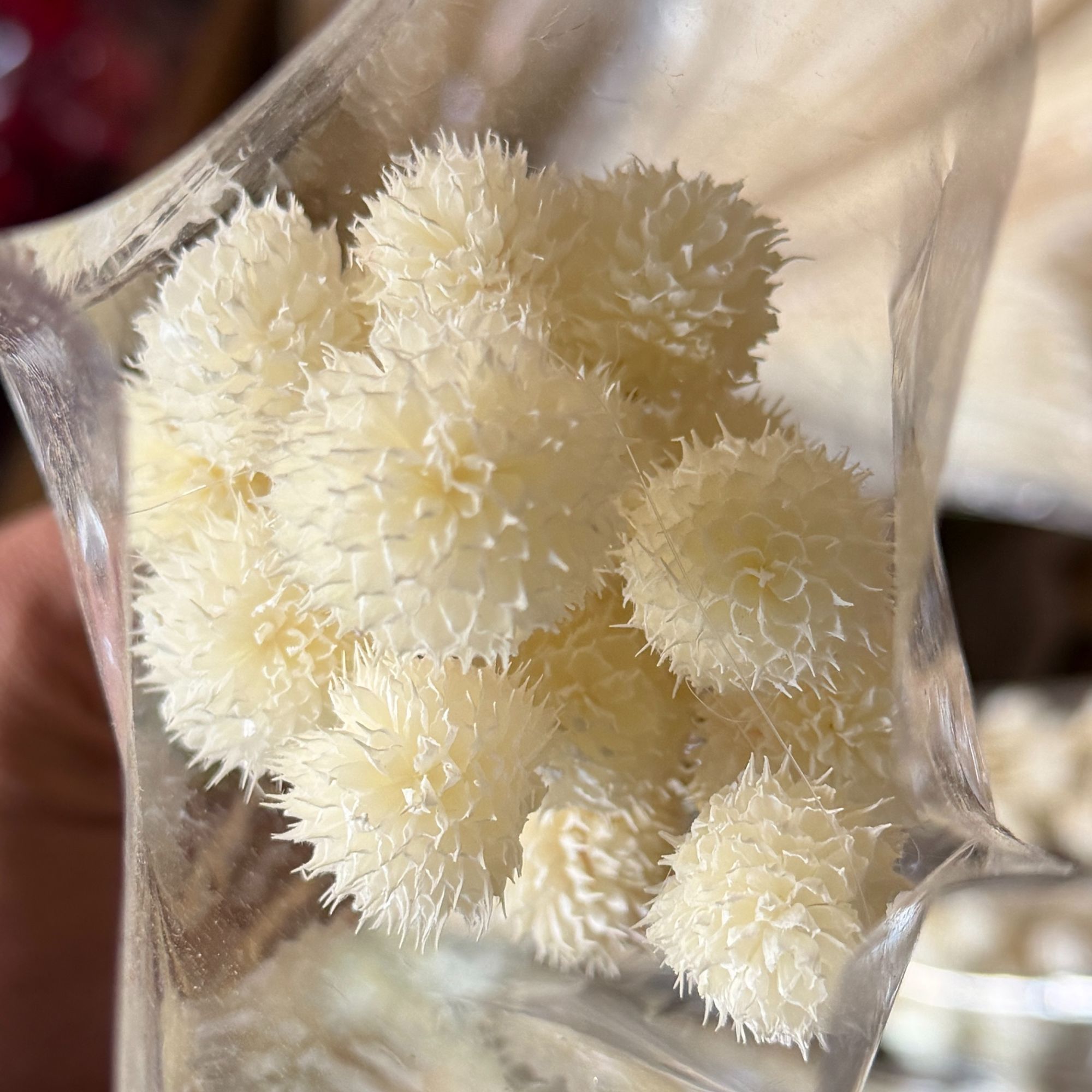 云南草莓果基地可搭干花鲜花花束搭配插花瓶装饰餐桌客厅摆放