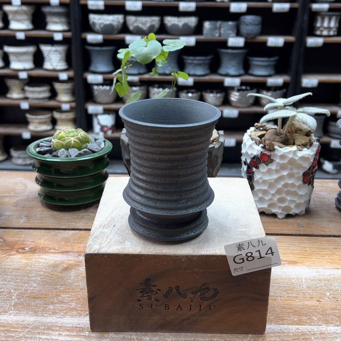 素八九陶瓷内口7.5高10.5