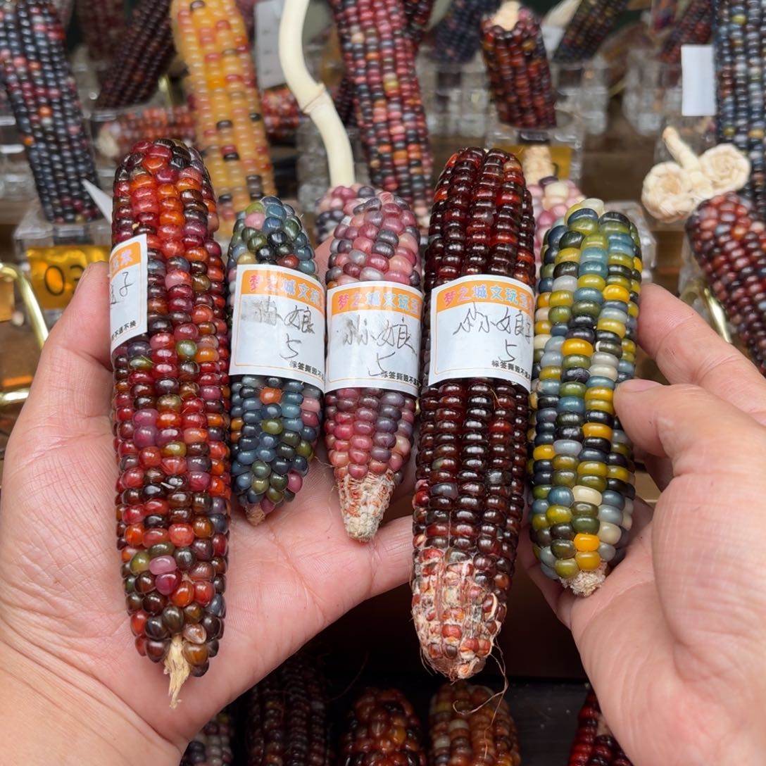 柏香籽/百香籽吊坠?****?