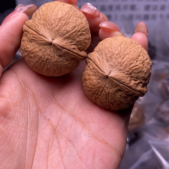 核桃云南野生铁核桃48号37mm