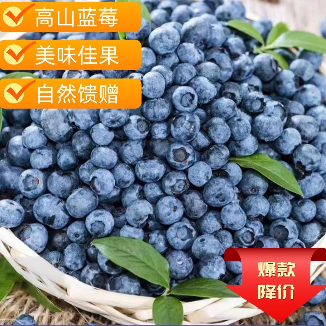 【超级捡漏】云南蓝莓15mm+花香果香今天拍明天到新鲜云南省
