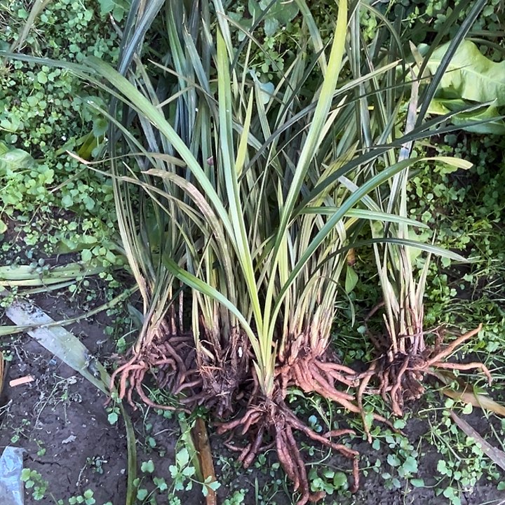 完全开放11111111111