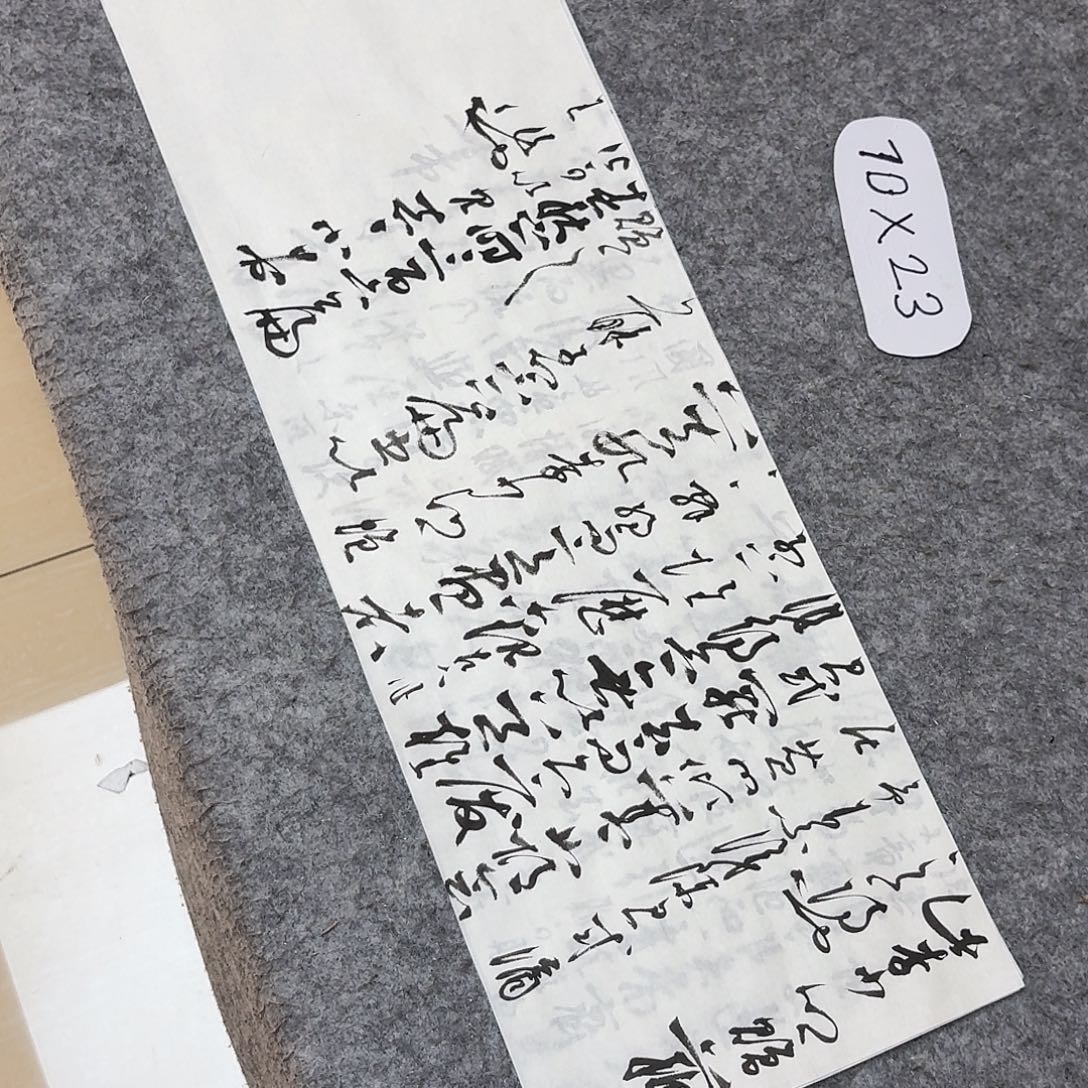 书法国展书家郭朝阳69×23