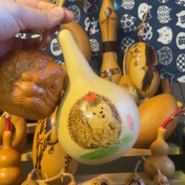 圆***圆特价福利不退不换