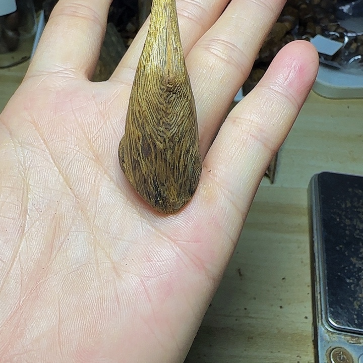 可***乐木白奇天然树丁料4克