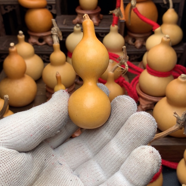 葫芦葫芦 葫芦葫芦