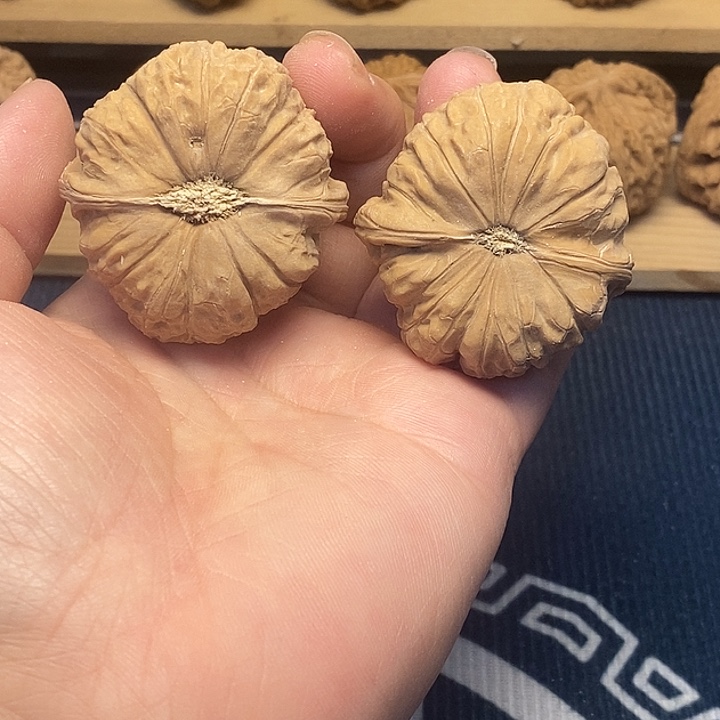 核桃南瓜福利核桃