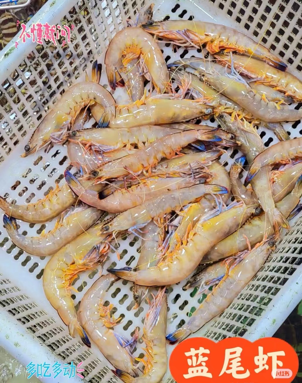 现称.野生蓝尾虾.3斤